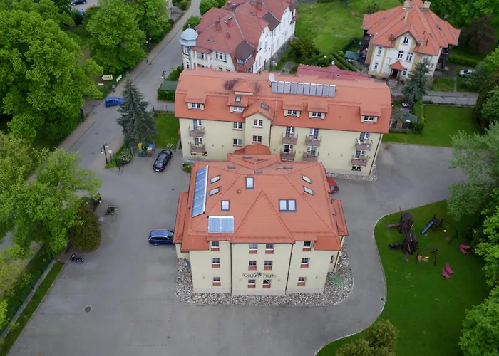 Tilia بولانيكا- زدروي